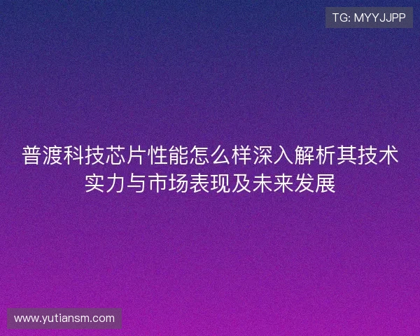 普渡科技芯片性能怎么样深入解析其技术实力与市场表现及未来发展
